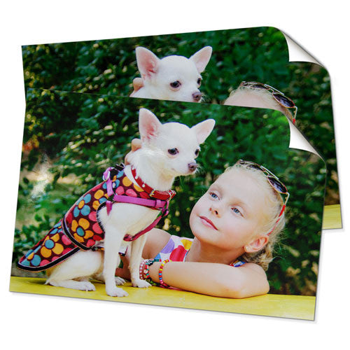 20x30" (50.8x75.2cm) Poster Print