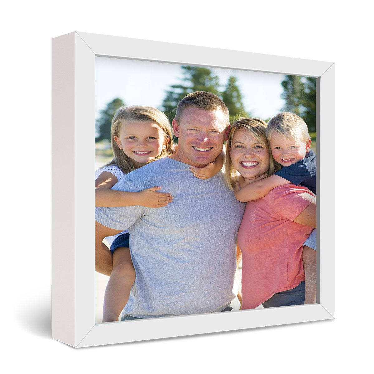 24x24" Framed Metal Print