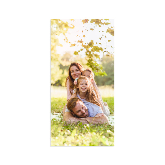 24x48" Poster