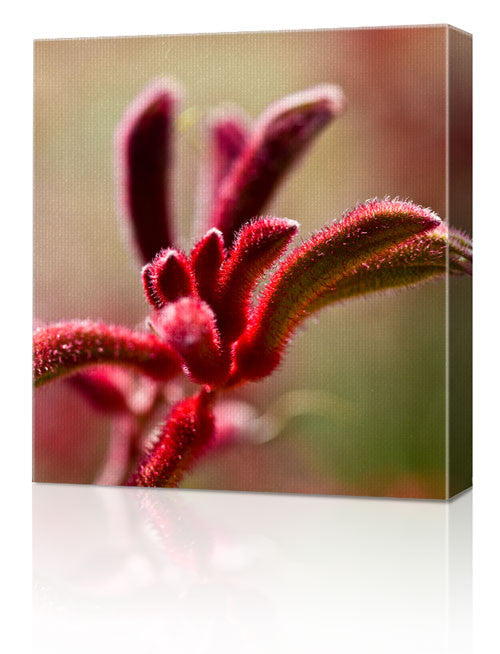 12 x 12" (30x30cm) Canvas Print