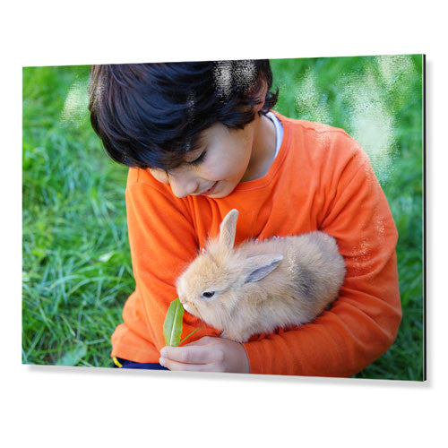 16x20" (40x50cm) Metal Print