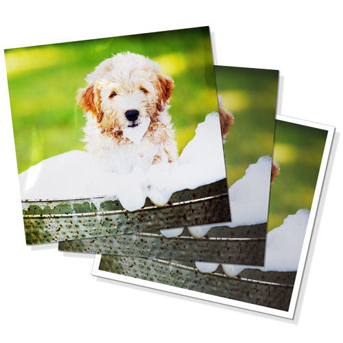 4x4" (10x10cm) Digital Photo Print